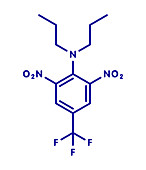 Trifluralin herbicide molecule, illustration