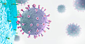 Virus particle interacting with cell, illustration