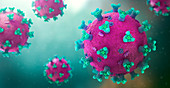 Structure of a coronavirus, illustration