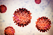 Coronavirus particles, illustration