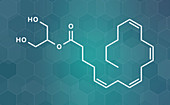 2-Arachidonoylglycerol neurotransmitter, illustration