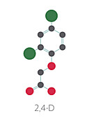 2, 4-D Agent Orange molecule, illustration