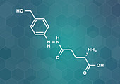 Agaritine mushroom toxin molecule, illustration