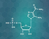 AICA ribonucleotide performance enhancing drug, illustration