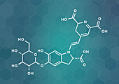 Betanin red plant pigment molecule, illustration