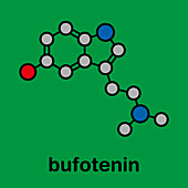 Bufotenin molecule, illustration