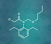 Butachlor herbicide molecule, illustration