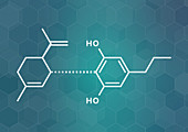 Cannabidivarin cannabinoid molecule, illustration