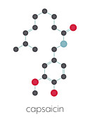 Capsaicin chili pepper molecule, illustration