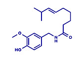 Capsaicin chili pepper molecule, illustration