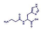 Carnosine food supplement molecule, illustration