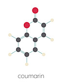Coumarin herbal fragrant molecule, illustration
