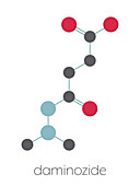 Daminozide plant growth regulator molecule, illustration