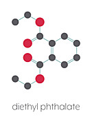 Diethyl phthalate plasticizer molecule, illustration