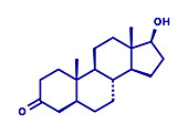 Dihydrotestosterone hormone molecule, illustration