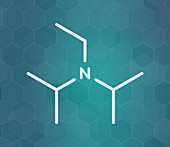 DIPEA molecule, illustration