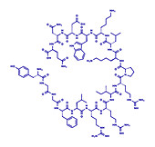 Dynorphin a endogenous opioid peptide molecule, illustration