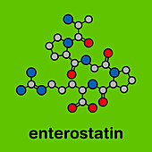 Enterostatin signalling peptide molecule, illustration