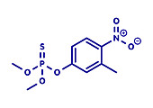 Fenitrothion phosphorothioate molecule, illustration