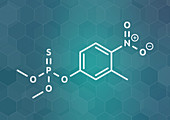Fenitrothion phosphorothioate molecule, illustration