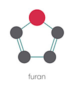 Furan heterocyclic aromatic molecule, illustration