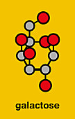 Galactose sugar molecule, illustration