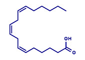 Gamma-linolenic acid molecule, illustration