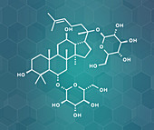 Ginsenoside Rg1 ginseng molecule, illustration
