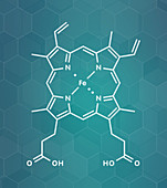 Haem B molecule, illustration