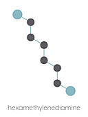Hexamethylenediamine molecule, illustration