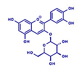 Ideain plant pigment molecule, illustration