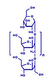 Inulin chemical structure, illustration
