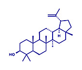 Lupeol molecule, illustration