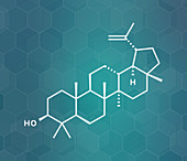 Lupeol molecule, illustration