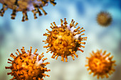 Chickenpox virus, illustration