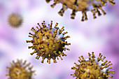 Chickenpox virus, illustration