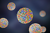 West Nile virus particle, illustration