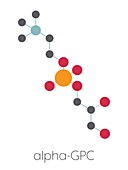 Alpha-GPC molecule, illustration
