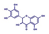 Dihydromyricetin or herbal drug molecule, illustration