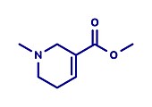 Arecoline areca nut stimulant compound, illustration