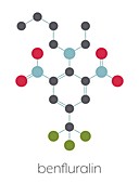 Benfluralin herbicide molecule, illustration