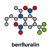 Benfluralin herbicide molecule, illustration