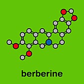 Berberine alkaloid molecule, illustration
