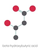 Beta-hydroxybutyric acid molecule, illustration