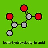 Beta-hydroxybutyric acid molecule, illustration