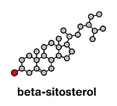 Beta-sitosterol phytosterol molecule, illustration