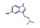 Bufotenin molecule, illustration