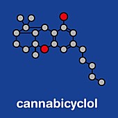 Cannabicyclol cannabinoid molecule, illustration