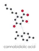 Cannabidiolic acid cannabinoid molecule, illustration