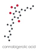 Cannabigerolic acid cannabinoid molecule, illustration